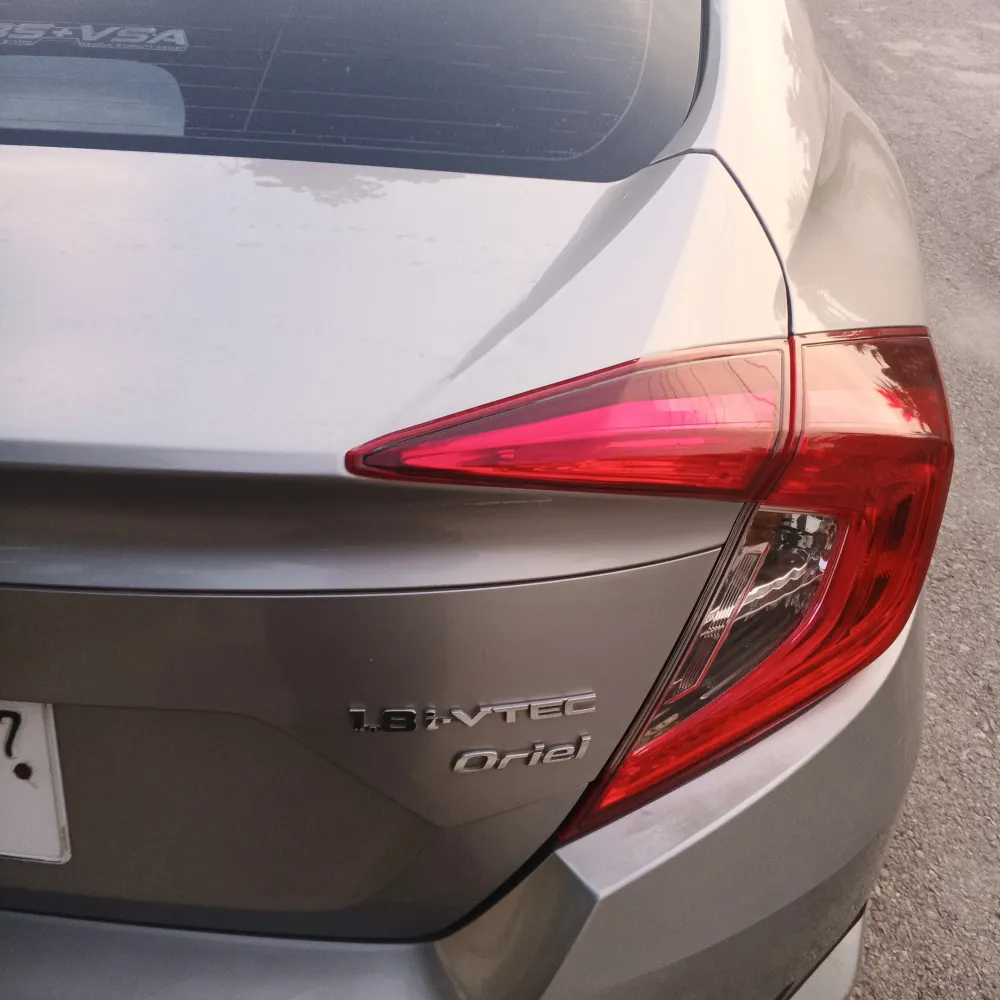 Trunk image