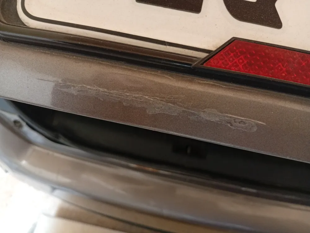 Trunk image