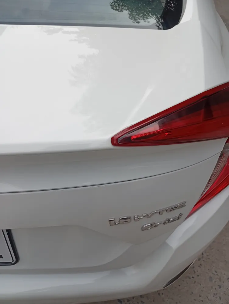 Trunk image