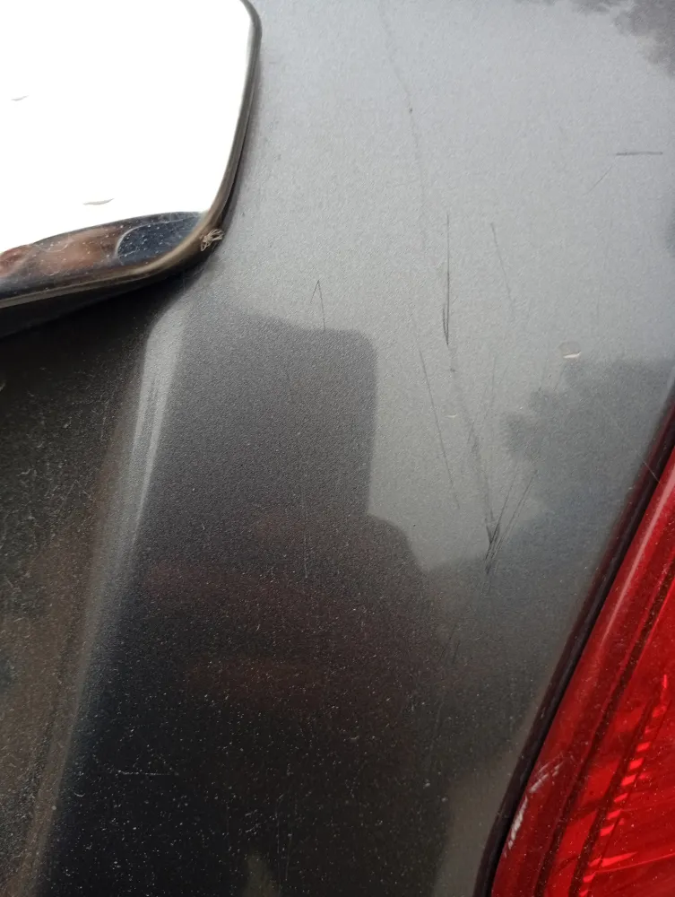 Trunk image