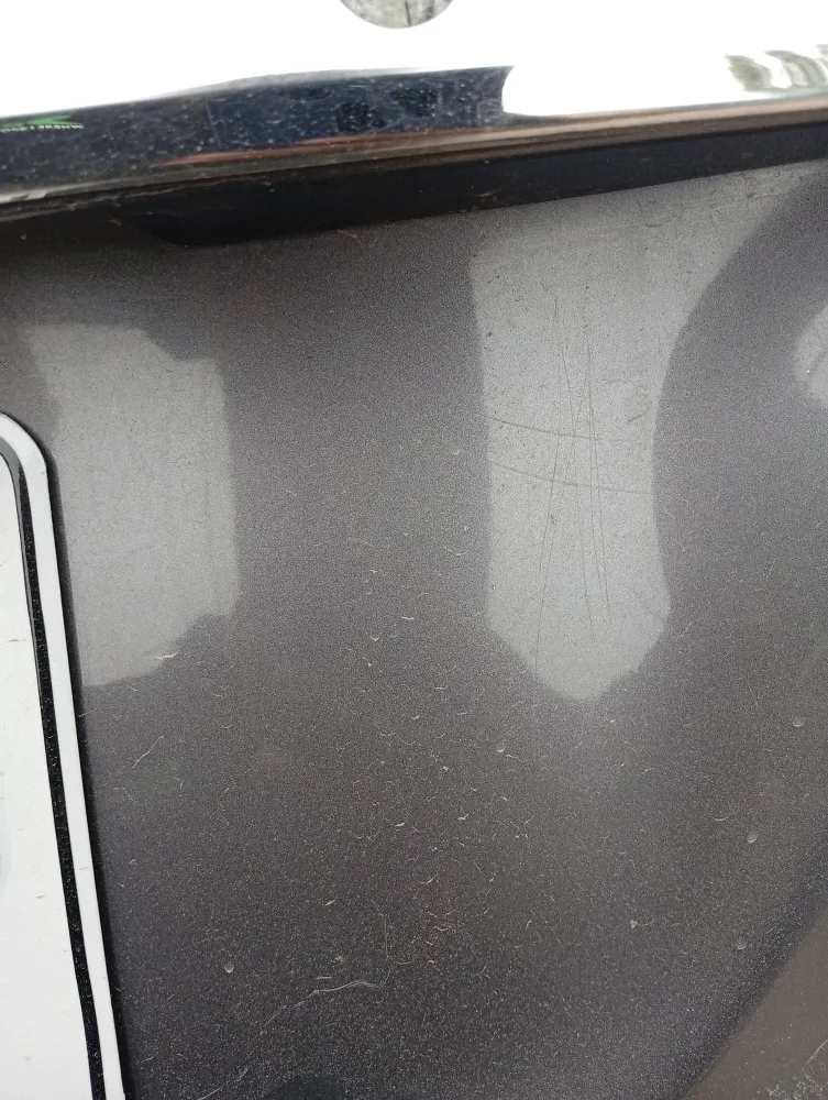 Trunk image