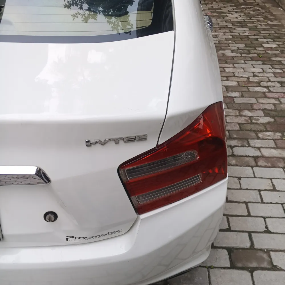 Trunk image