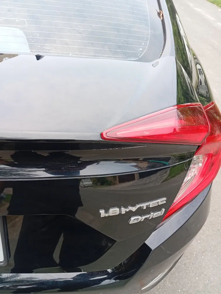 Trunk image