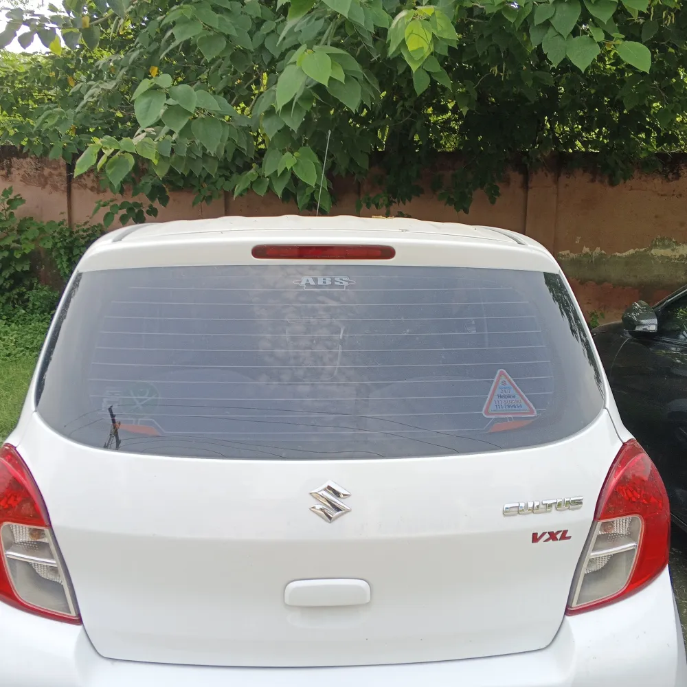 Trunk image