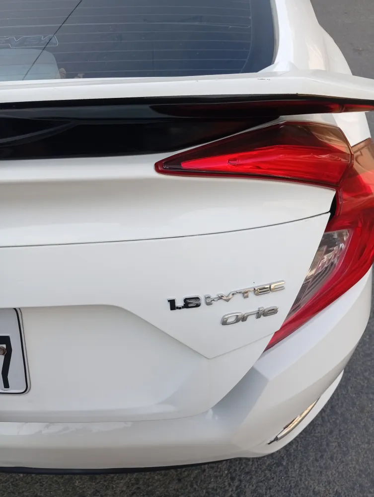 Trunk image