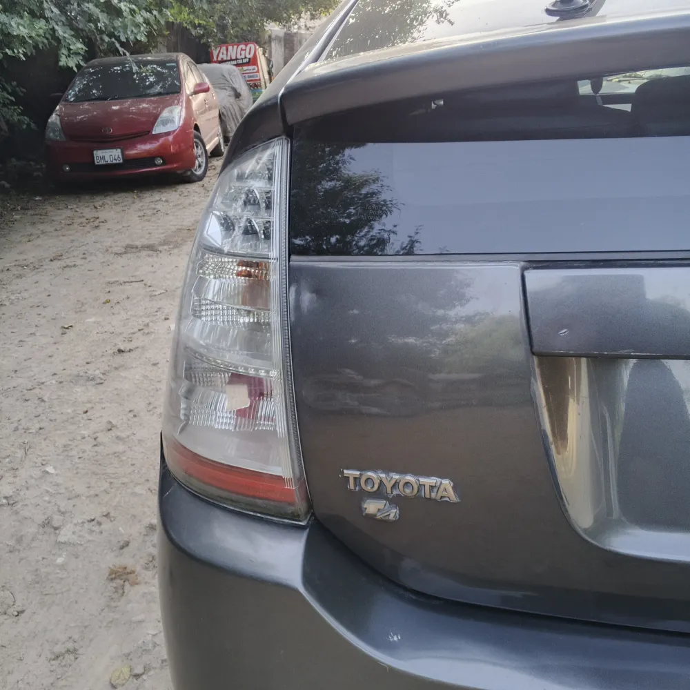 Trunk image