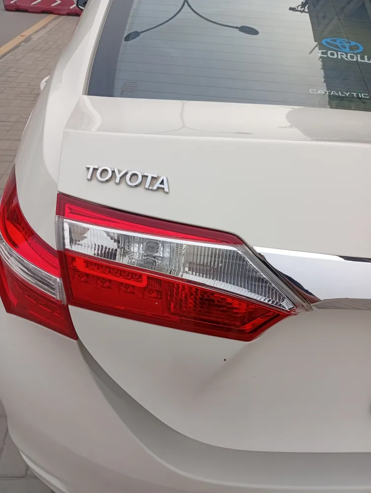 Trunk image