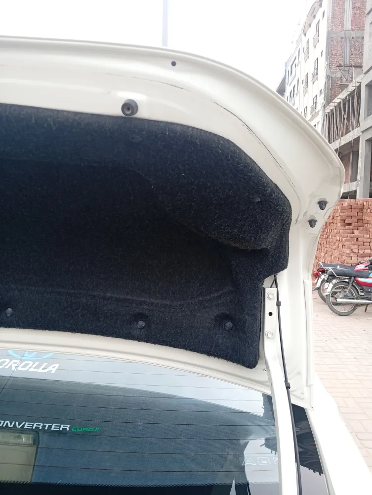 Trunk image