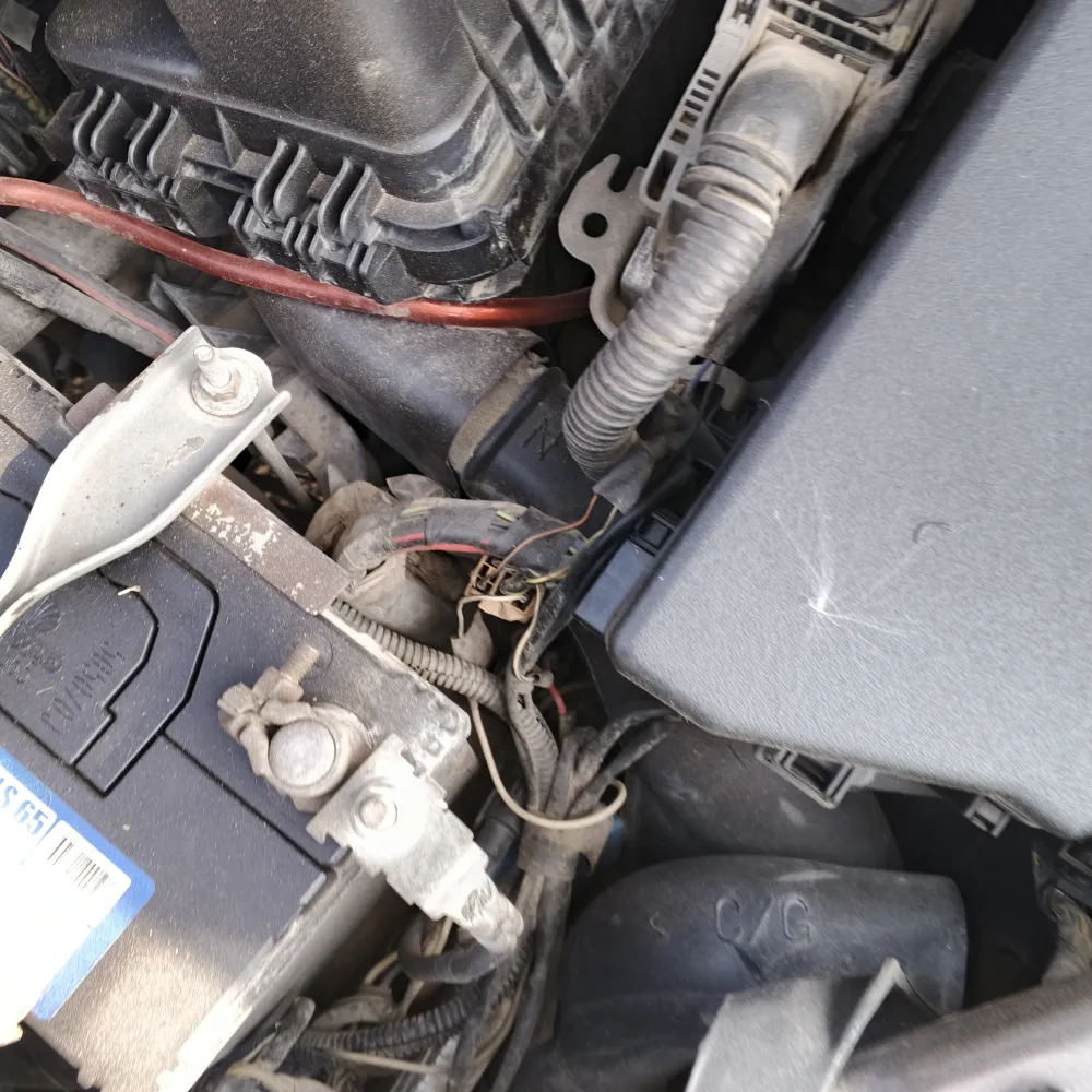 inspection-image
