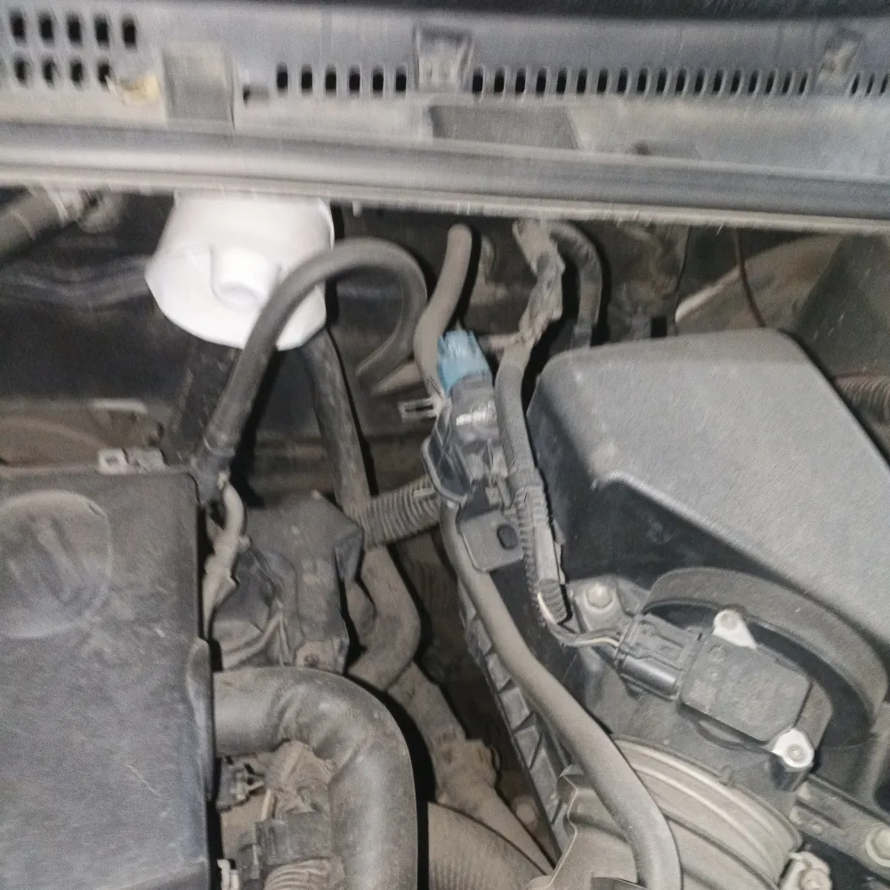 inspection-image