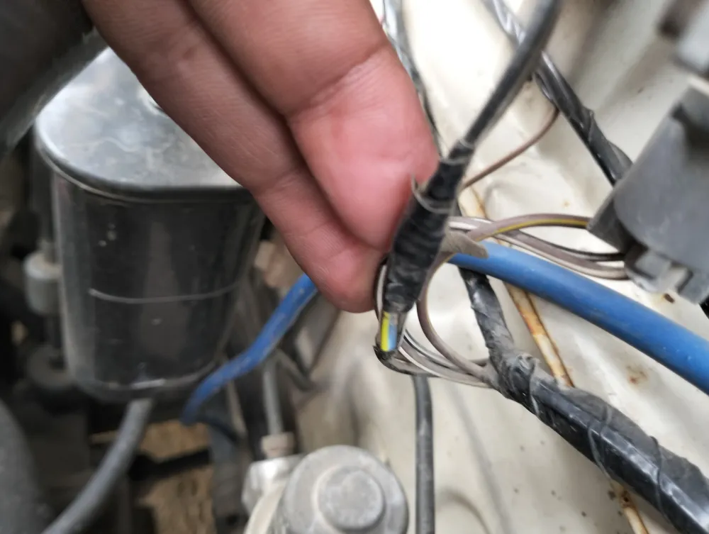 inspection-image