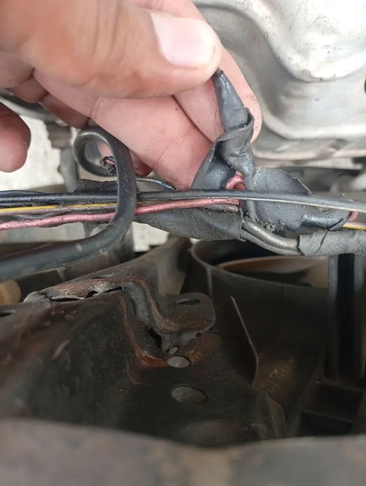 inspection-image