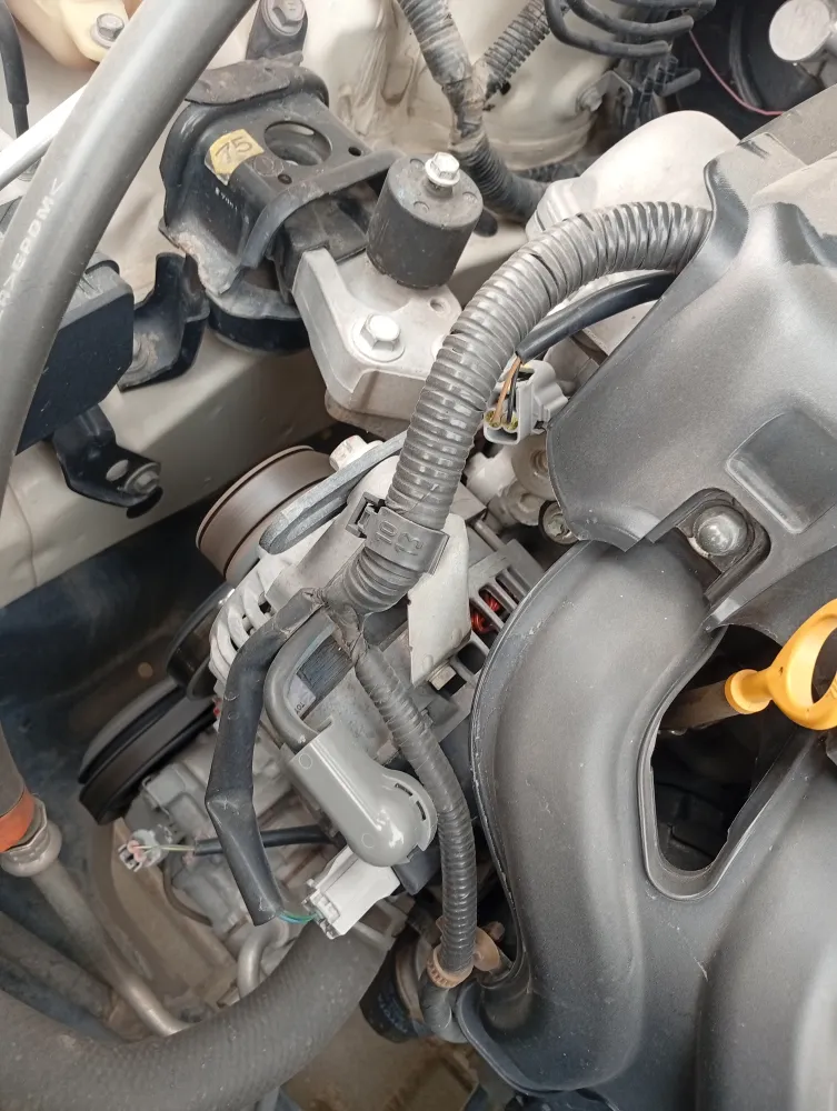 inspection-image