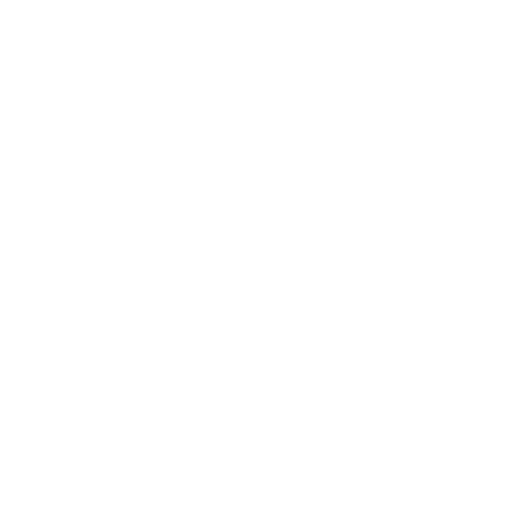 inspectionBN